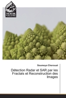 Détection Radar et SAR par les Fractals et Reconstruction des Images 6202358947 Book Cover