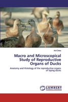 Macro and Microscopical Study of Reproductive Organs of Ducks: Anatomy and Histology of the reproductive organs of laying ducks 6200434840 Book Cover