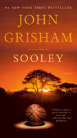 Book cover image for Sooley