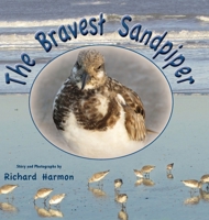 The Bravest Sandpiper 1737258102 Book Cover