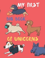 My First Big Book of Unicorns: My First Big Book of Coloring B084DGMLX6 Book Cover