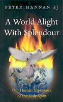 A World Alight with Splendour: Our Human Experience of the Holy Spirit 1856076318 Book Cover