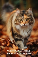Norwegian Forest Cat Photo Collection: Majestic Full-Page Pictures of Norwegian Forest Cats and Kittens for All Ages (Calming Nature Books). B0GKP3J35V Book Cover