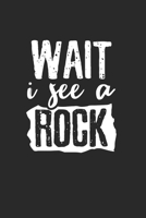 Geology wait I see rocks Notebook: Notebook / 6x9 Zoll / 120 ruled Pages 1712368397 Book Cover