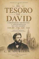 El Tesoro de David — Volumen 13: Comentario expositivo del Salmo 119:89–176 y los Salmos 120–124 (El Tesoro de David — Comentarios expositivos de los Salmos) (Spanish Edition) B0HFDYVPN1 Book Cover