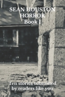 SEAN HOUSTON HORROR: Book 1 B0FGX5RJT4 Book Cover