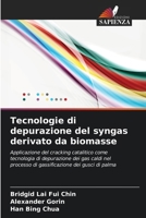 Tecnologie di depurazione del syngas derivato da biomasse (Italian Edition) 6209745083 Book Cover
