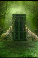 Through the Doors: Altoria 1983120367 Book Cover
