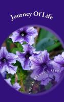 Journey Of Life: A self help book that may or may not help you. It's up to you to take the initiative. If you do, it will help you, if you don't it ... May your journey in life be the best... 1482753707 Book Cover