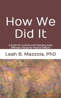 How We Did It: A Guide for Juvenile and Emerging Adult Offenders Ready for Positive Reform 1695420985 Book Cover