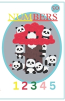 NUMBERS: COUNTING TO FIFTY B0DSTTWYB3 Book Cover