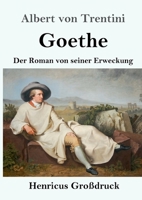 Goethe (Gro�druck) 3743732211 Book Cover