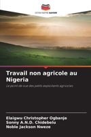 Travail non agricole au Nigeria: Le point de vue des petits exploitants agricoles 6206066401 Book Cover