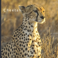 Cheetah: 2021 - 2022 18 Month Calendar | Monthly Photo Calendar | July 2021 - December 2022 | Monthly Calendar with U.S./UK/ Canadian/Christian/Jewish/Muslim Holidays | B091WFGK6L Book Cover