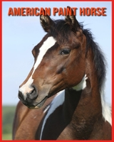 American Paint Horse: Amazing Pictures and Facts About American Paint Horse B08W6QD4LV Book Cover