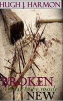 Broken, just to be made new 0615163211 Book Cover