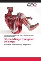 Fibrocartilago triangular del carpo: Anatomía, biomecánica y diagnóstico 3659060879 Book Cover