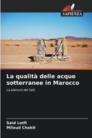 La qualità delle acque sotterranee in Marocco (Italian Edition) 620950647X Book Cover