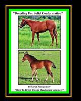 Breeding For Solid Conformation (How To Breed Classic Racehorses) (Volume 3) 149521026X Book Cover