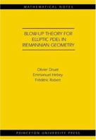 Blow-up theory for elliptic PDEs in Riemannian geometry 0691119538 Book Cover