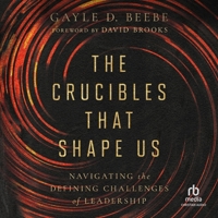 The Crucibles That Shape Us: Navigating the Defining Challenges of Leadership B0CW73QMPQ Book Cover