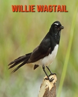 Willie Wagtail: Learn About Willie Wagtail and Enjoy Colorful Pictures B08MHZBSG3 Book Cover