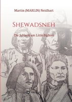Shewadsneh: Die Schlacht am Little Bighorn (German Edition) 334702169X Book Cover