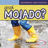 �est� Mojado? (What Is Wet?) 153824988X Book Cover