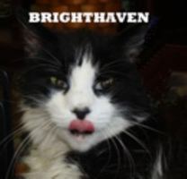 BrightHaven 1364363992 Book Cover