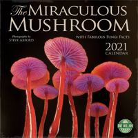 The Miraculous Mushroom 2021 Wall Calendar: With Fabulous Fungi Facts 1631366726 Book Cover