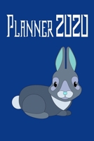 planner 2020: Monthly Weekly Daily - Dated With Todo Notes - Pink Bunny Rabbit (July 2019 to June 2020 Calendar Year - Oh So Cute) notebook 6*9 120 page 1654416827 Book Cover