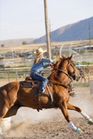 Full Circle 1688222332 Book Cover