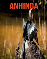 Anhinga: Beautiful Pictures & Interesting Facts Children Book About Anhinga B08KGT7HB5 Book Cover