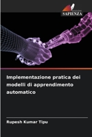 Implementazione pratica dei modelli di apprendimento automatico (Italian Edition) 6207852214 Book Cover