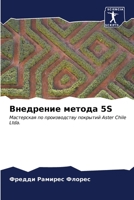 Внедрение метода 5S: Мастерская по производству покрытий Aster Chile Ltda. B0CKKZYN5C Book Cover
