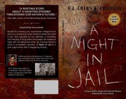 A NIGHT IN JAIL: A story about drugs and mental illness, inspired by true events 0692967079 Book Cover