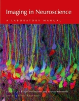 Imaging in Neuroscience: A Laboratory Manual 0879699388 Book Cover
