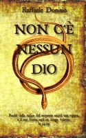 Non c'è nessun Dio (Italian Edition) B0CMZCQ2QT Book Cover