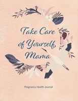 Pregnancy Health Journal: 280 Daily Spreads for 40 Weeks, to Help You Maintain Physical, Nutritional, and Mental Health During Pregnancy, Makes a ... Take Care of Yourself Stork Mama Cover 1699476004 Book Cover