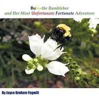 Bubs the Bumblebee and Her Most Unfortunate Fortunate Adventure 1449050425 Book Cover