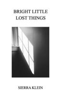 Bright Little Lost Things B0C1RSFRW2 Book Cover