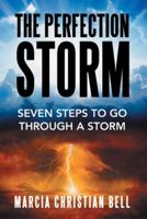 The Perfection Storm: Seven Steps to Go Through a Storm 151279256X Book Cover