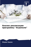Анализ реализации прогр& 6205799006 Book Cover