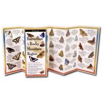 Butterflies of the Rocky Mountain Region 1621262316 Book Cover