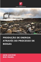 Produção de Energia Através Do Processo de Biogás (Portuguese Edition) 6208358167 Book Cover