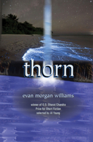 Thorn: Short Stories 1886157944 Book Cover