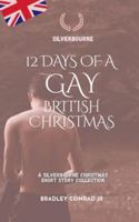 Silverbourne: 12 Days of a Gay British Christmas: A Silverbourne Christmas Short Story Collection (Silverbourne British Gay Romance) B0FZ2SZCLK Book Cover
