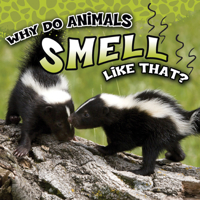 Why Do Animals Smell Like That? 1681918285 Book Cover