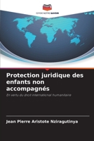 Protection juridique des enfants non accompagnés (French Edition) 6207865936 Book Cover