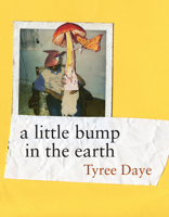 A Little Bump in the Earth 155659688X Book Cover